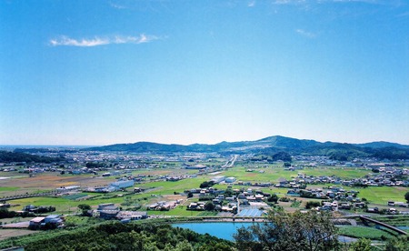 【久保田食品】バニラアイスクリーム110ml 12個 | 人気 大容量 有名 アイスセット 詰め合わせ スイーツ ジェラート 高知県 南国市