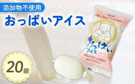【アイスクリーム】おっぱいアイス 20個 