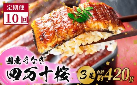 【通常用】【10回定期便】極上国産うなぎ四万十桜 蒲焼き約140g×3尾  ＼ 完全無投薬蒲焼き ／ 高知県 南国市