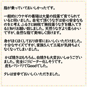 【通常用】極上国産うなぎ四万十桜 蒲焼き約140g×5尾 完全無投薬蒲焼き