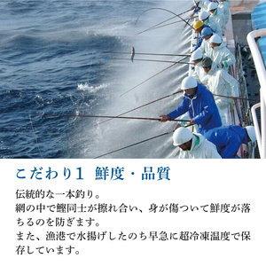 【土佐料理司】鰹たたき2節セット 600g 一本釣り鰹