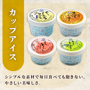 【久保田食品】人気のアイスセットA 16個  アイス