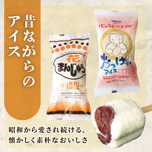 【久保田食品】人気のアイスセットA 16個  アイス