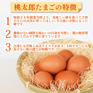 【桃太郎たまご】 6個入り×2パック【たまご 高知県 南国市】