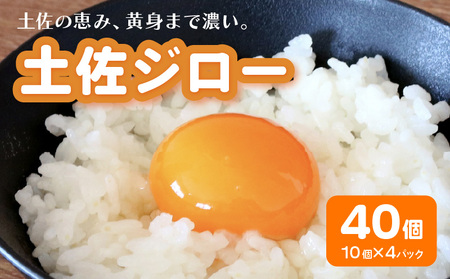 高知県産たまご「土佐ジローのたまご」 (10個×4パック)