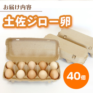 高知県産たまご「土佐ジローのたまご」 (10個×4パック)