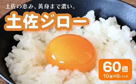 高知県産たまご「土佐ジローのたまご」10個×6パック 高知県 南国市