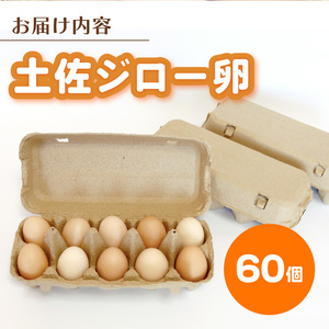 高知県産たまご「土佐ジローのたまご」10個×6パック 高知県 南国市