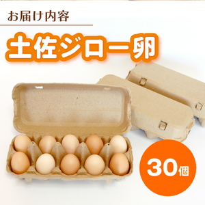 高知こだわりたまご 「土佐ジローのたまご」 10個×3パック