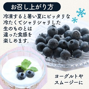 【先行予約】完熟生ブルーベリー ラビットアイ系 1200g (2026年7月～発送) | フルーツ 果物 ベリー
