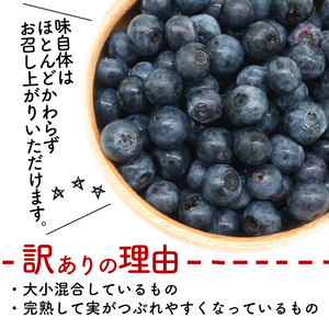 【先行予約】訳あり完熟生ブルーベリー ラビットアイ系 900g (2026年7月～発送) | フルーツ 果物 ベリー