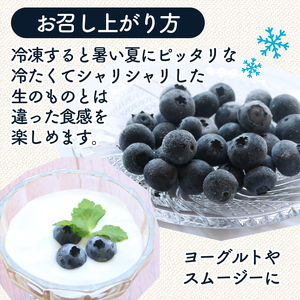 【先行予約】訳あり完熟生ブルーベリー ラビットアイ系 1800g (2026年7月～発送) | フルーツ 果物 ベリー
