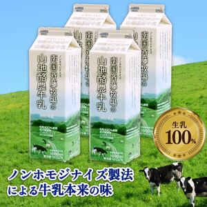 【4回定期便 週1】山地酪農牛乳 1L×4本 ＼ ノンホモ製法・低温殺菌 ／ 生乳100％成分無調整牛乳