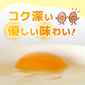【たまご 定期便12回】平飼いたまご 20個入 \ 自然由来飼料 高知県南国市 /
