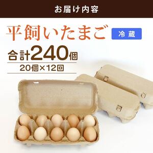 【たまご 定期便12回】平飼いたまご 20個入 \ 自然由来飼料 高知県南国市 /