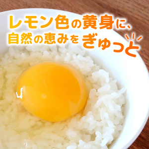 【たまご 定期便12回】平飼いたまご 30個