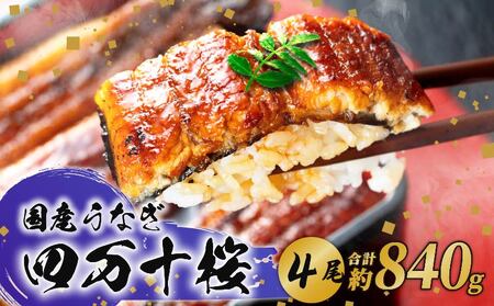 【贈答用】特大 国産うなぎ蒲焼き 210g×4 蒲焼き