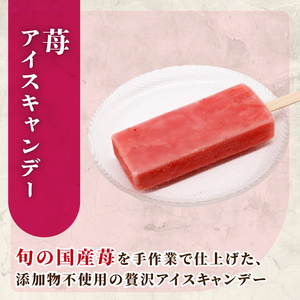 アイスセットB (16個) アイスキャンディー スイーツ ジェラート