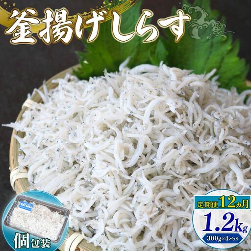 【定期便12回 しらす】釜揚げしらす 1.2kg＼ちりめんじゃこ／