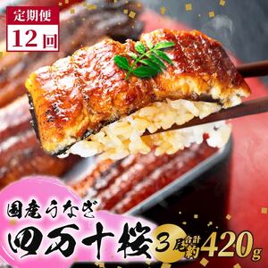 【贈答用】【12回定期便】極上国産うなぎ四万十桜 蒲焼き約140g×3尾 | うなぎ 鰻 蒲焼き 定期便 国産 四万十鰻 白焼き 調理済み タレ付き 頒布会 ギフト（お歳暮/お正月）高級 お取り寄せ グルメ 食べ比べ 冷凍