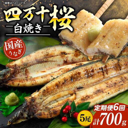 【通常用】【6回定期便】極上国産うなぎ四万十桜 白焼き約140g×5尾 白焼き
