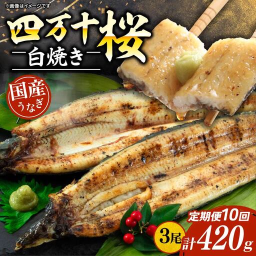 【贈答用】【10回定期便】極上国産うなぎ四万十桜 白焼き約140g×3尾 | うなぎ 鰻 ウナギ 白焼き 定期便 国産 四万十鰻 ウナギ 蒲焼き 調理済み タレ付き 頒布会 ギフト（お歳暮/お正月）高級 お取り寄せ グルメ 食べ比べ 冷凍