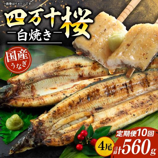 【贈答用】【10回定期便】極上国産うなぎ四万十桜 白焼き約140g×4尾 | うなぎ 鰻 ウナギ 白焼き 定期便 国産 四万十鰻 ウナギ 蒲焼き 調理済み タレ付き 頒布会 ギフト（お歳暮/お正月）高級 お取り寄せ グルメ 食べ比べ 冷凍