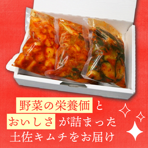 【南国市】土佐キムチ  3種セット【大根きゅうり白菜】