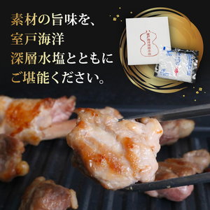 【鶏肉】土佐のシャモ焼肉セット4人前 鶏肉