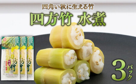 四方竹 水煮 100g×3パック シャキシャキ 食感 珍味 季節 特産 珍しい 柔らか 筍 タケノコ 竹の子 煮物 おでん サラダ 和え物 天ぷら キンピラ お寿司 高知県 南国市