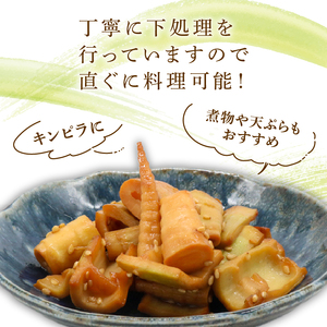 四方竹 水煮 100g×4パック シャキシャキ 食感 珍味 季節 特産 珍しい 柔らか 筍 タケノコ 竹の子 煮物 おでん サラダ 和え物 天ぷら キンピラ お寿司 高知県 南国市