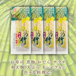 四方竹 水煮 100g×4パック シャキシャキ 食感 珍味 季節 特産 珍しい 柔らか 筍 タケノコ 竹の子 煮物 おでん サラダ 和え物 天ぷら キンピラ お寿司 高知県 南国市