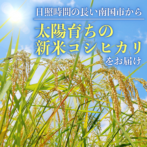 【1週間以内発送】 コシヒカリ 玄米 10kg 令和7年産 玄米 南国市