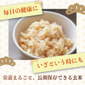 【1週間以内発送】 コシヒカリ 玄米 10kg 令和7年産 玄米 南国市