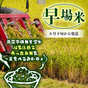 【1週間以内発送】 コシヒカリ 玄米 10kg 令和7年産 玄米 南国市