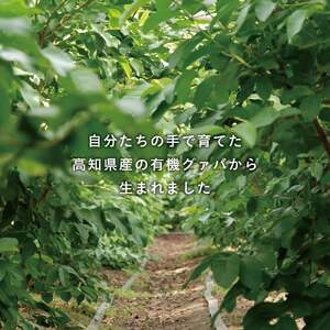 天然原料100％の天海のしずくオーガニックコスメ 3点セットB | 化粧品 化粧水 美容液 フィトシード オイル オーガニック コスメ グアバ 美容 美肌 柚子 ゆず 自家栽培 びよう 詰め合わせ 人気 おすすめ 高知県 南国市