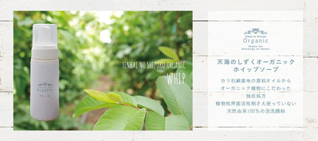 天然原料100％の天海のしずくオーガニックコスメ 4点セットA | 化粧品 化粧水 美容液 ホイップ ソープ フィトシード クリーム オーガニック コスメ グアバ 美容 美肌 柚子 ゆず 自家栽培 びよう 詰め合わせ 人気 おすすめ 高知県 南国市