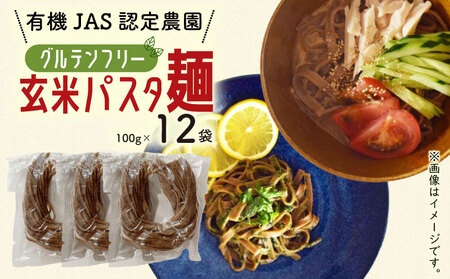 有機グアバ農園のグルテンフリー玄米パスタ麺 100g×12袋セット グルテンフリー