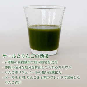 【3ヶ月定期便】【冷凍生】りんご青汁4箱11.2kg(100g×112袋) 国産 ケール