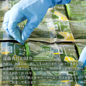 【3ヶ月定期便】【冷凍生】りんご青汁4箱11.2kg(100g×112袋) 国産 ケール