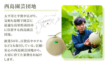 【年2回定期便】メロン・マンゴー セット【フルーツ マンゴー】