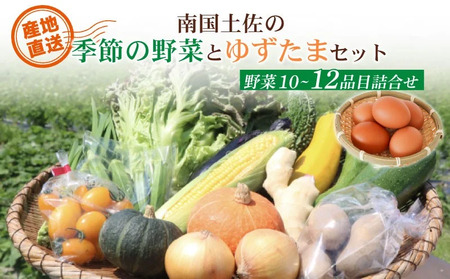 南国土佐の季節野菜と卵(ゆずたま)の詰め合わせセット | セット 詰め合わせ 旬 やさい 野菜 たまご 卵 柚子 ゆず ゆずたま 農家直送 お楽しみ かぼちゃ カボチャ キャベツ きゃべつ トマト とまと 玉ねぎ たまねぎ タマネギ きゅうり キュウリ 旬野菜 夏野菜 春野菜 人気 高知県 南国市