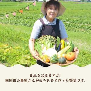 南国土佐の季節野菜と卵(ゆずたま)の詰め合わせセット | セット 詰め合わせ 旬 やさい 野菜 たまご 卵 柚子 ゆず ゆずたま 農家直送 お楽しみ かぼちゃ カボチャ キャベツ きゃべつ トマト とまと 玉ねぎ たまねぎ タマネギ きゅうり キュウリ 旬野菜 夏野菜 春野菜 人気 高知県 南国市