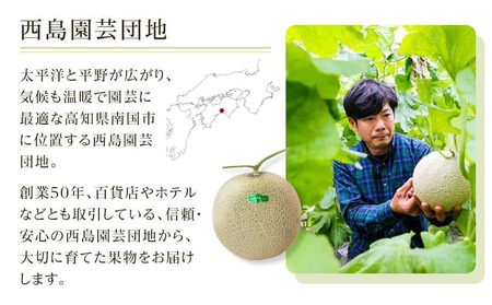 家庭用マスクメロン 1玉(約1.4kg) | 西島園芸団地メロン
