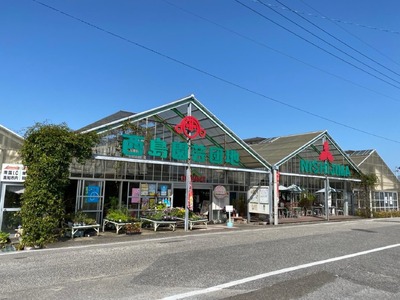 家庭用マスクメロン 1玉(約1.4kg) | 西島園芸団地メロン