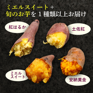 【発送開始】 サツマイモ 詰合せ 5キロ さつまいも