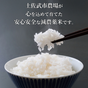 新米 定期便 令和7年度 【6回定期便】 白米 ミルキークイーン 5kg◇◆