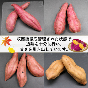 さつまいも 詰合せ 5kg 訳あり サツマイモ 【ミエルスート他】 | 高知