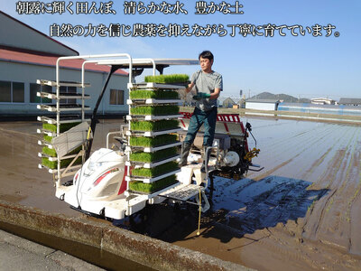 令和7年度 玄米 コシヒカリ 5キロ