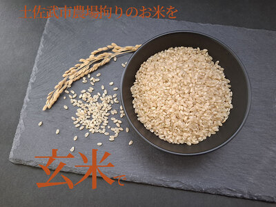 令和7年度 玄米 コシヒカリ 5キロ